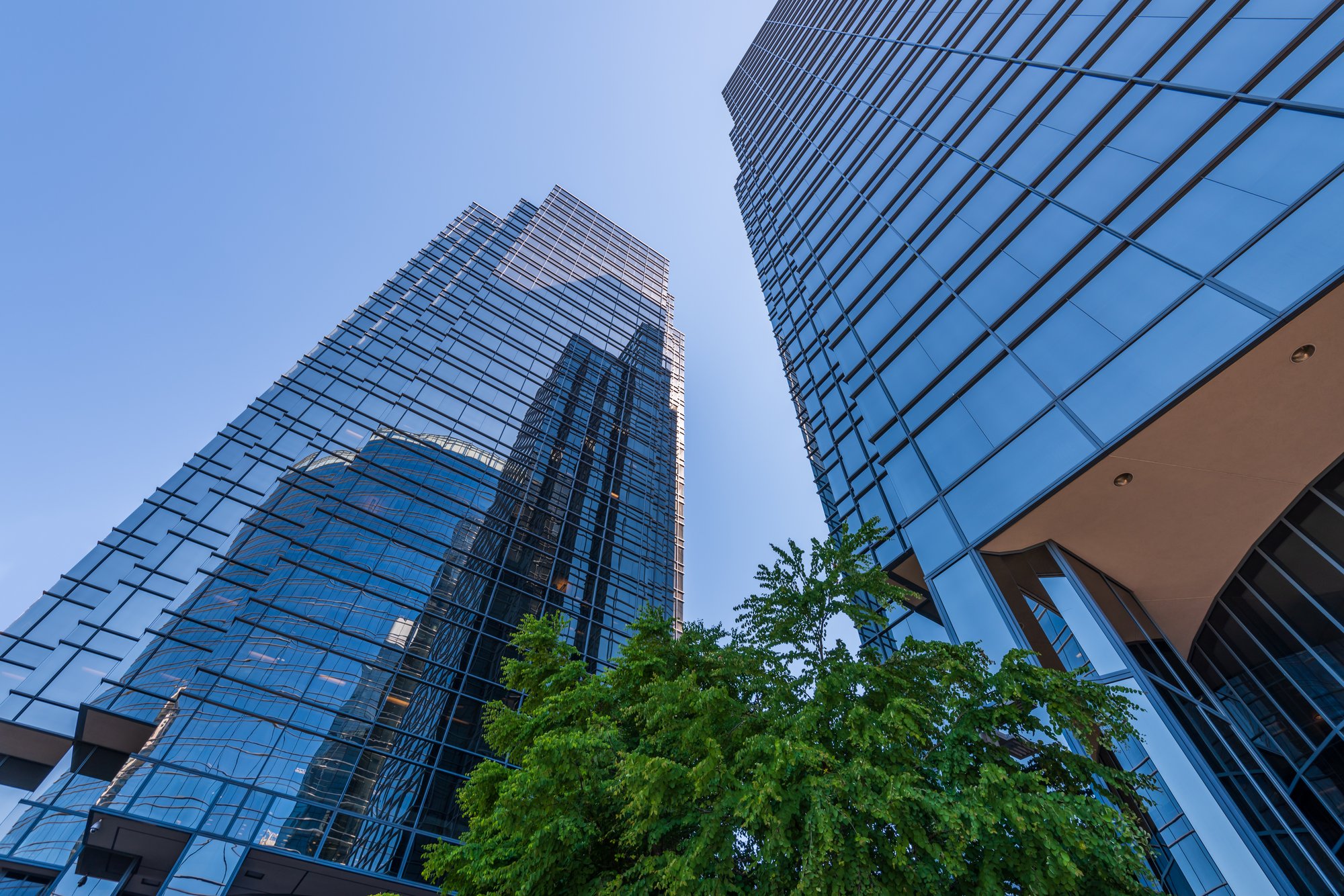 AdobeStock_712057984