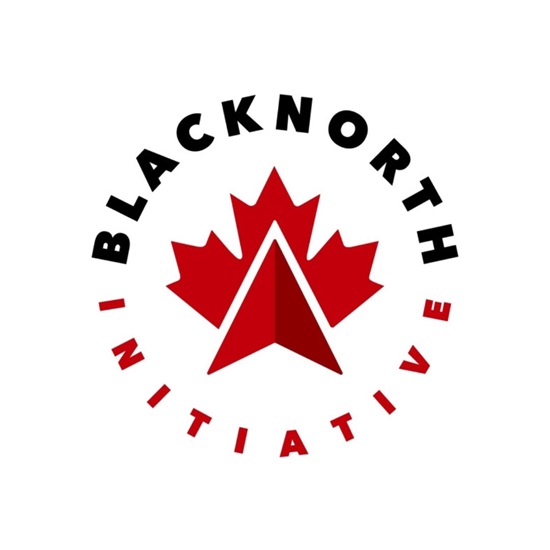 BlackNorth logo